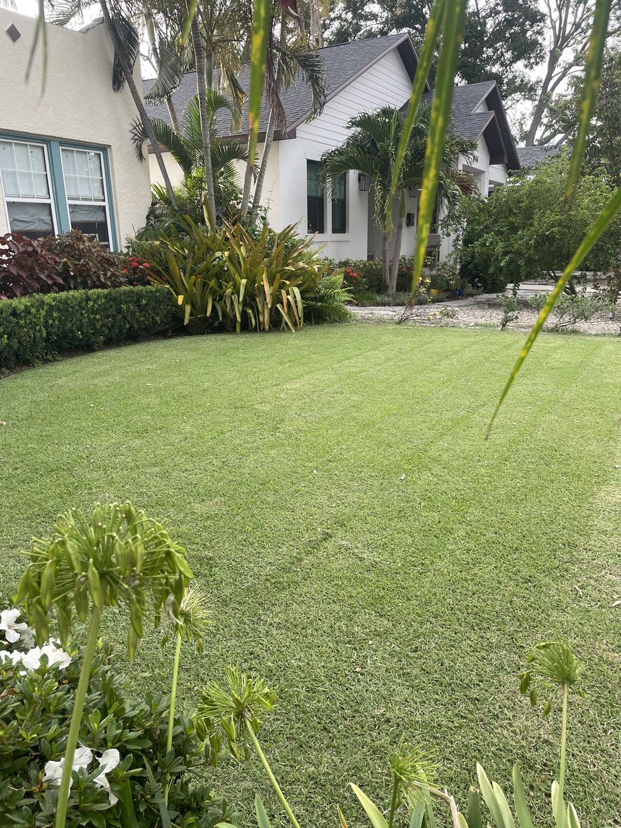 Lawn, hedges and layered garden beds at a South Pinellas home