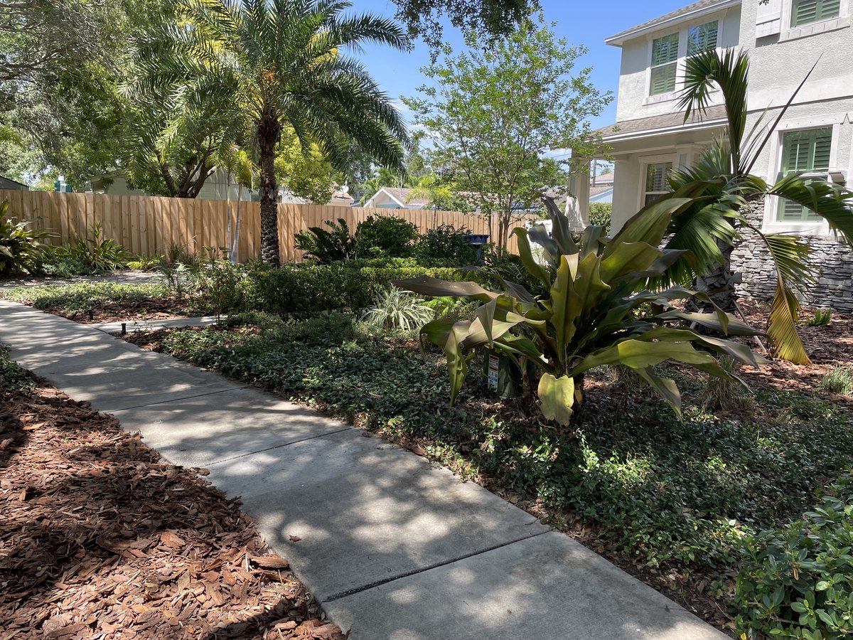 Layered tropical beds beside a curved garden walk